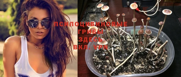 дмт Аркадак