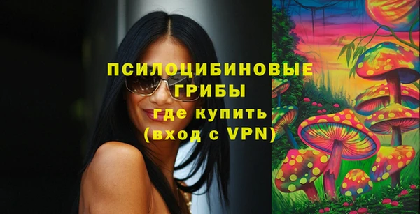дмт Аркадак