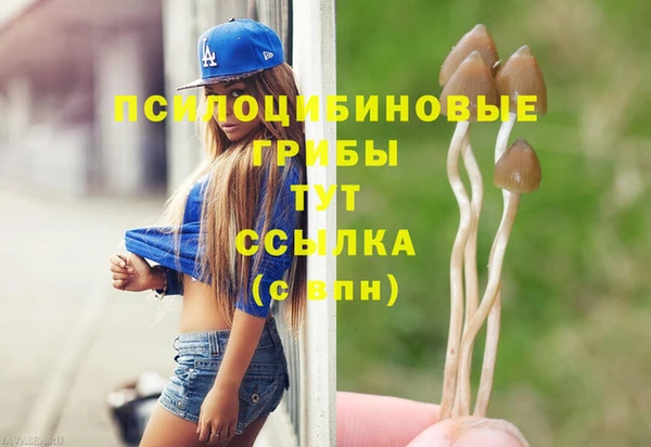 дмт Аркадак